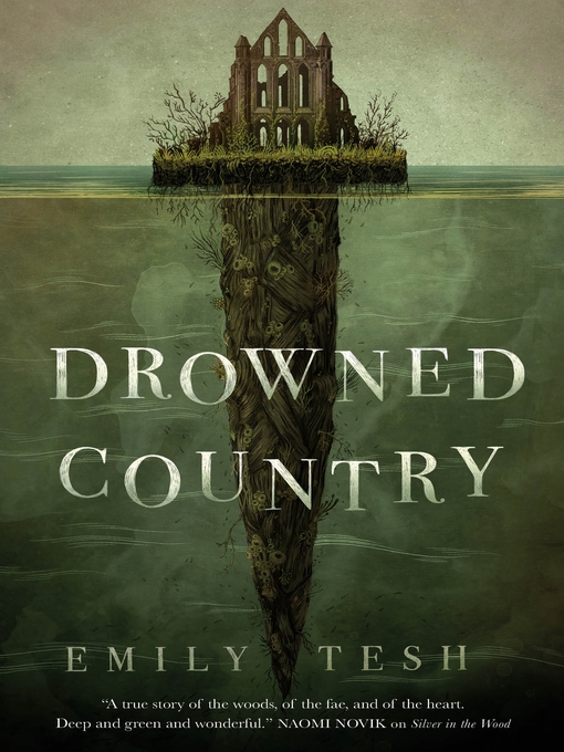 Title details for Drowned Country by Emily Tesh - Wait list